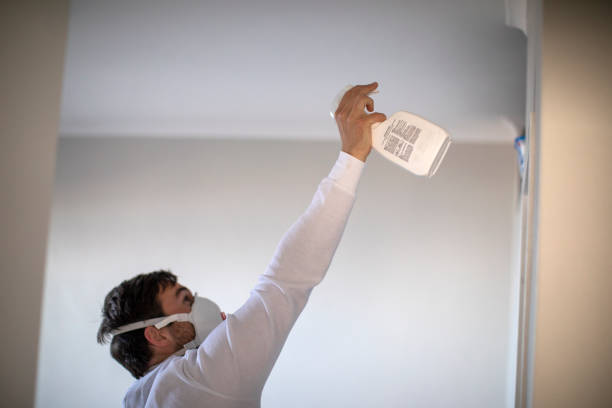 Best Attic Mold Removal  in Lockwood, MO