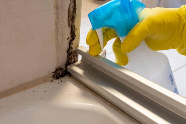 Best Residential Mold Removal  in Lockwood, MO