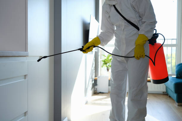 Crawl Space Mold Removal in Lockwood, MO