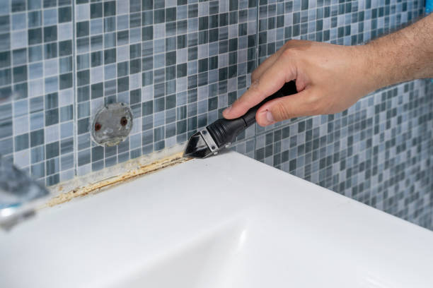 Mold Testing and Removal in Lockwood, MO